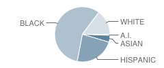 Young Middle Magnet School Student Race Distribution