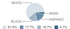 Anderson Elementary School Student Race Distribution