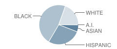 Tampa Bay Technology High School Student Race Distribution