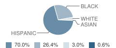 West Tampa Elementary School Student Race Distribution