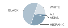 Ippolito Elementary School Student Race Distribution