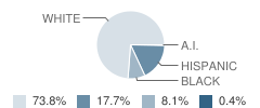 Lafayette Elementary School Student Race Distribution