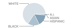 Mt. Dora High School Student Race Distribution