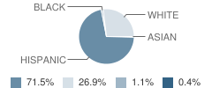Bonita Springs Elementary School Student Race Distribution