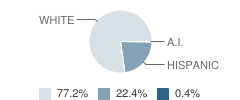 Pine Island Elementary School Student Race Distribution