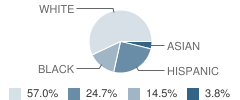 Tanglewood Riverside School Student Race Distribution