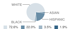 Gulf Elementary School Student Race Distribution