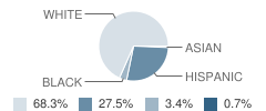 Three Oaks Elementary School Student Race Distribution