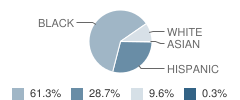 Colonial Elementary School Student Race Distribution