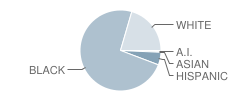 Astoria Park Elementary School Student Race Distribution