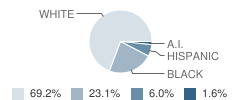 Pinetta Elementary School Student Race Distribution