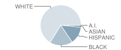 Manatee High School Student Race Distribution