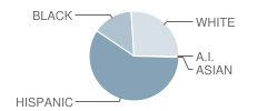 Palmetto Elementary School Student Race Distribution