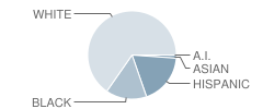 Sea Breeze Elementary School Student Race Distribution