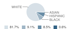 Stanton-Weirsdale Elementary School Student Race Distribution