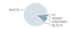 Crystal Lake Elementary School Student Race Distribution