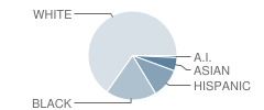 W. C. Pryor Middle School Student Race Distribution