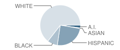 Okeechobee High School Student Race Distribution