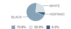 Okeechobee Juvenile Justice Vision Quest-Level 6 School Student Race Distribution