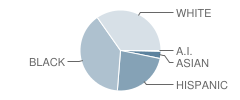 Riverside Elementary School Student Race Distribution