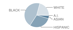 Maxey Elementary School Student Race Distribution