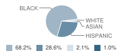 Palmetto Elementary School Student Race Distribution