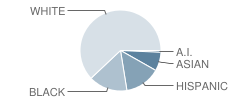 Palm Lake Elementary School Student Race Distribution