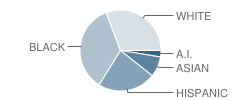 Citrus Elementary School Student Race Distribution