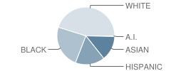 Suncoast Community High School Student Race Distribution