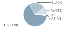 West Gate Elementary School Student Race Distribution