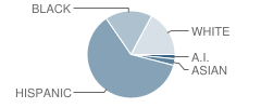 Forest Hill Elementary School Student Race Distribution