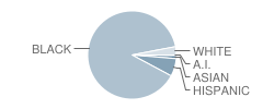 Galaxy Elementary School Student Race Distribution