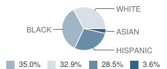 Boca Raton Elementary School Student Race Distribution