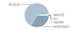 Pahokee Elementary School Student Race Distribution