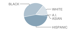 Wynnebrook Elementary School Student Race Distribution