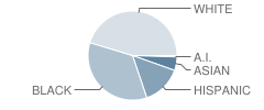 Banyan Creek Elementary School Student Race Distribution