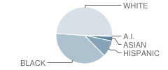 William T. Dwyer High School Student Race Distribution