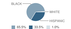 Belle Glade Elementary School Student Race Distribution