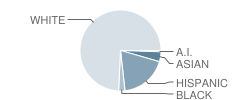 Sunrise Park Elementary School Student Race Distribution