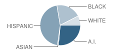 South Grade Elementary School Student Race Distribution