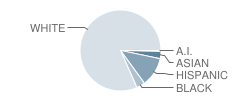 Gulf High School Student Race Distribution