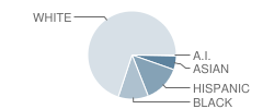 Belcher Elementary School Student Race Distribution