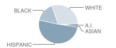 Eisenhower Elementary School Student Race Distribution