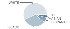 North Shore Elementary School Student Race Distribution