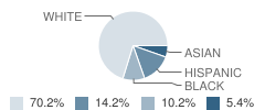 Frontier Elementary School Student Race Distribution