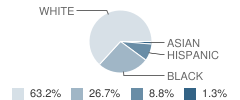 Cleveland Court Elementary School Student Race Distribution