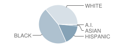 Inwood Elementary School Student Race Distribution