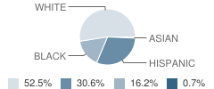 Auburndale Central Elementary School Student Race Distribution