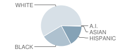 Walter Caldwell Elementary School Student Race Distribution