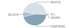 Frostproof Elementary School Student Race Distribution